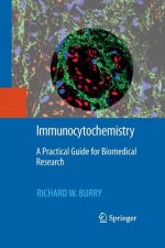 Immunocytochemistry