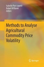 Methods to Analyse Agricultural Commodity Price Volatility