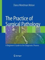 Practice of Surgical Pathology