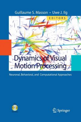 Dynamics of Visual Motion Processing