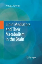 Lipid Mediators and Their Metabolism in the Brain