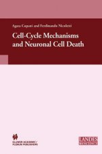 Cell-Cycle Mechanisms and Neuronal Cell Death