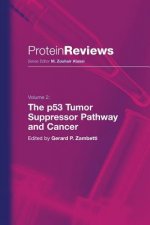 p53 Tumor Suppressor Pathway and Cancer