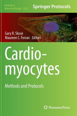 Cardiomyocytes