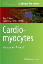 Cardiomyocytes