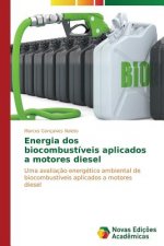 Energia dos biocombustiveis aplicados a motores diesel