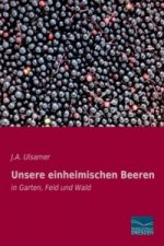 Unsere einheimischen Beeren