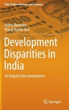 Development Disparities in India