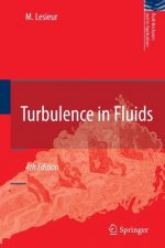 Turbulence in Fluids