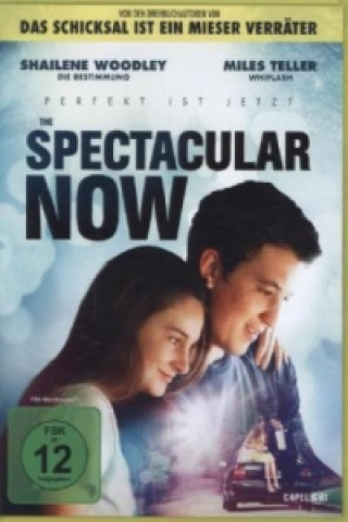 The Spectacular Now - Perfekt ist jetzt, 1 DVD