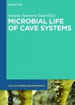 Microbial Life of Cave Systems