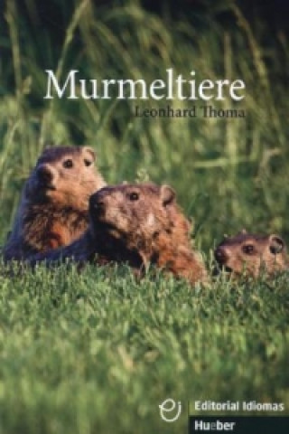 Murmeltiere - Buch