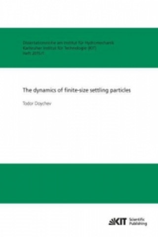 The dynamics of finite-size settling particles