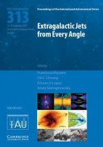 Extragalactic Jets from Every Angle (IAU S313)