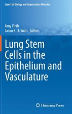 Lung Stem Cells in the Epithelium and Vasculature