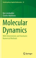 Molecular Dynamics