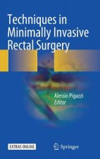 Techniques in Minimally Invasive Rectal Surgery