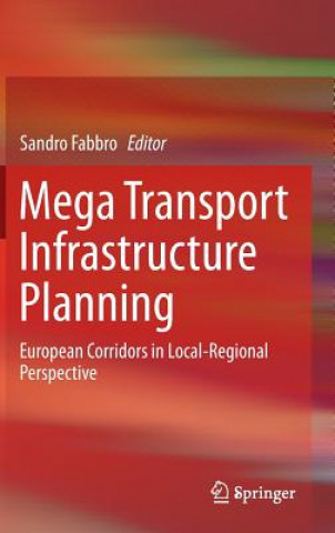 Mega Transport Infrastructure Planning