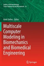 Multiscale Computer Modeling in Biomechanics and Biomedical Engineering