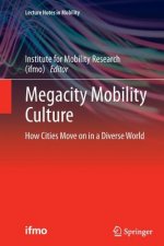 Megacity Mobility Culture