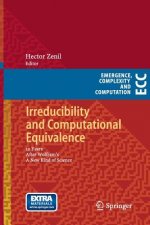 Irreducibility and Computational Equivalence