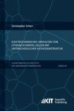 Elektrochemisches Verhalten von Lithium-Schwefel-Zellen mit unterschiedlicher Kathodenstruktur