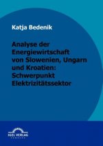 Analyse der Energiewirtschaft von Slowenien, Ungarn und Kroatien