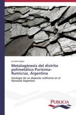 Metalogenesis del distrito polimetalico Purisima-Rumicruz, Argentina