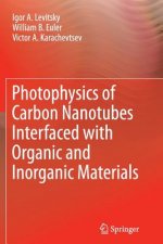 Photophysics of Carbon Nanotubes Interfaced with Organic and Inorganic Materials