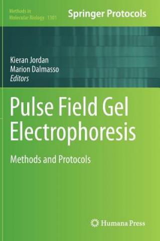 Pulse Field Gel Electrophoresis