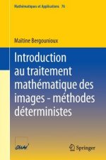 Introduction Au Traitement Mathematique Des Images - Methodes Deterministes