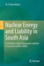 Nuclear Energy and Liability in South Asia