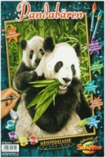 Pandabären