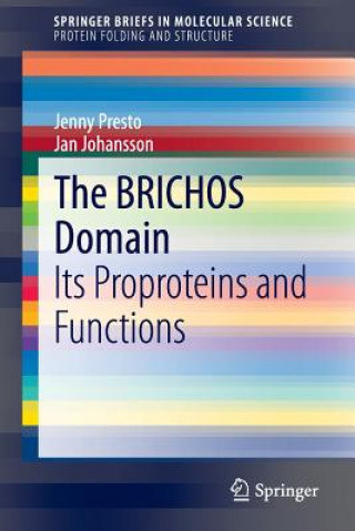 BRICHOS Domain
