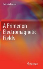 Primer on Electromagnetic Fields