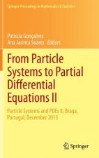 From Particle Systems to Partial Differential Equations II