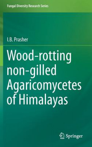 Wood-rotting non-gilled Agaricomycetes of Himalayas
