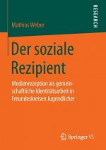 Der Soziale Rezipient