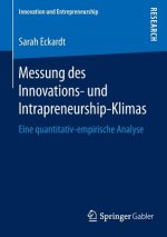 Messung Des Innovations- Und Intrapreneurship-Klimas