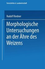 Morphologische Untersuchungen an Der AEhre Des Weizens