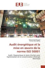 Audit Energetique Et La Mise En Oeuvre de la Norme ISO 50001