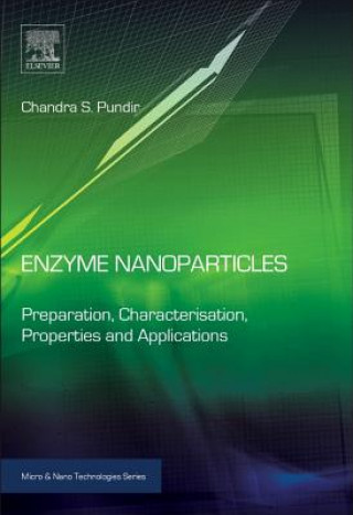 Enzyme Nanoparticles