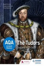 AQA A-level History: The Tudors: England 1485-1603