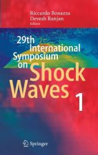29th International Symposium  on Shock Waves 1