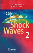 29th International Symposium  on Shock Waves 2
