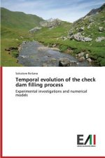 Temporal evolution of the check dam filling process