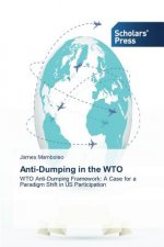 Anti-Dumping in the WTO