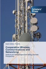 Cooperative Wireless Communications and Networking