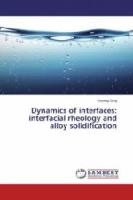 Dynamics of interfaces: interfacial rheology and alloy solidification