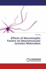 Effects of Neurotrophic Factors on Neuromuscular Junction Maturation